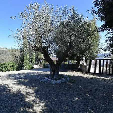 Silvana